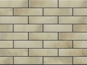 Клинкерная фасадная плитка под кирпич Retro Brick Salt 240*65*8 мм