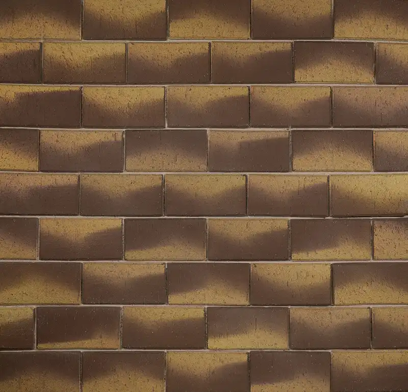 Клинкерная брусчатка ЛСР Монако, 200x100x50 мм
