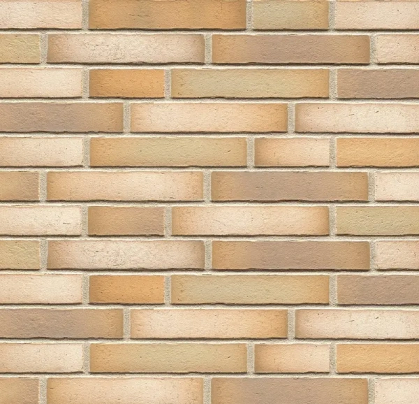 Клинкерная плитка Feldhaus Klinker R916DF14 vario sabiosa canuviri