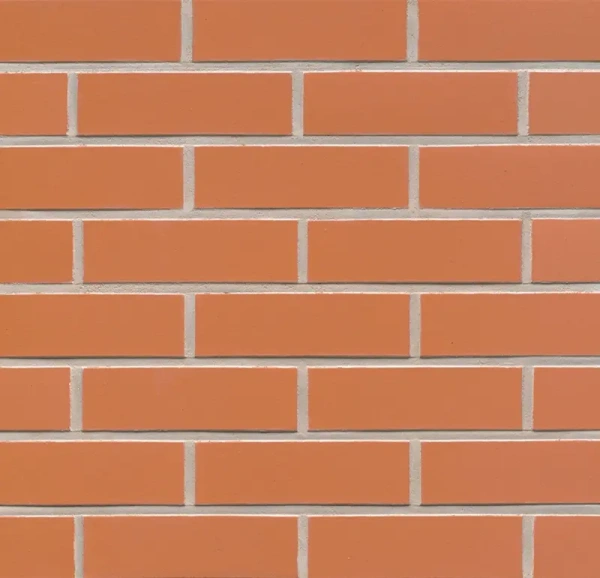 Клинкерная плитка Feldhaus Klinker R220 terracotta liso
