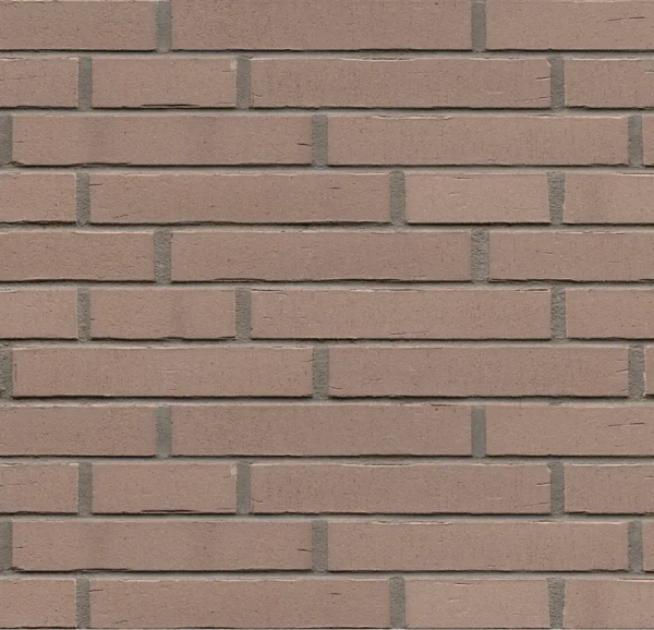 Ригельная клинкерная плитка Feldhaus Klinker R760 LDF vascu argo oxana