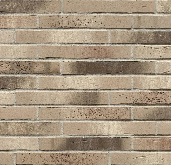 Ригельная клинкерная плитка Feldhaus Klinker R773 XLDF vascu argo antrablanca