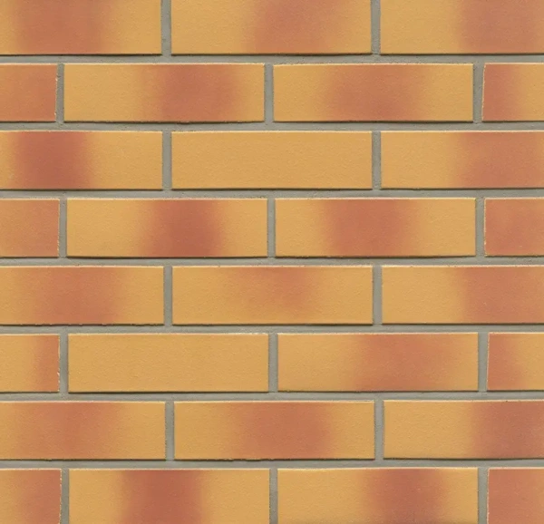 Клинкерная плитка Feldhaus Klinker R208 amari viva liso