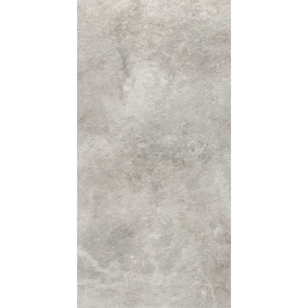 Террасная плита Paradyz Burlington Silver 595х1195