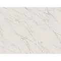 Paradyz Elite