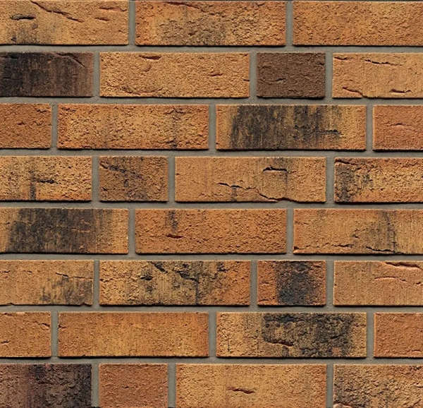 Клинкерная плитка Feldhaus Klinker R286 nolani viva rustico carbo