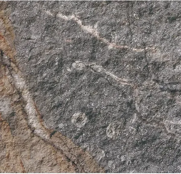 Гибкая керамика PHOMI Rough Surface Rock Mottle Brown