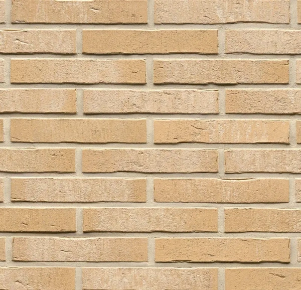 Ригельная клинкерная плитка Feldhaus Klinker R762 LDF vascu sabiosa blanca