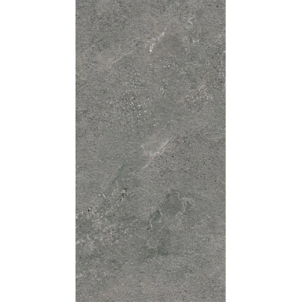 Террасная плита Paradyz Authority Graphite 595х1195