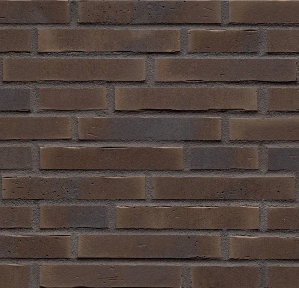 Ригельная клинкерная плитка Feldhaus Klinker R745 LDF vascu geo venito