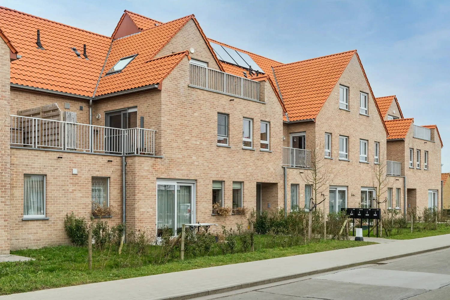 Плитка под кирпич ручной формовки Nelissen Anderlecht, 215x20x65 мм