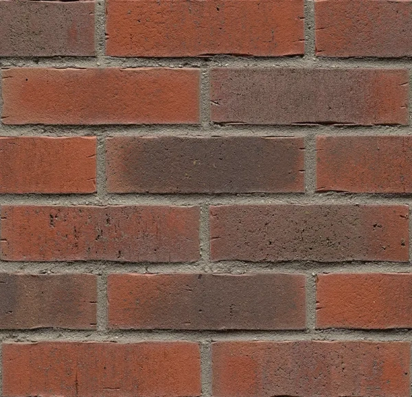 Клинкерная плитка Feldhaus Klinker R743 vascu carmesi flores